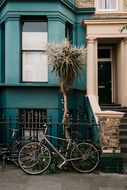 A black bicycle with orange reflectors on the wheels is parked against a small metal fence next to a green house with a rounded window and white blinds. In front of the house is a small tree with long, spiky, light-colored leaves. The pavement features a low brick step leading to a black door with a mail slot, situated beside a beige column and stone wall. The scene is well-lit with natural daylight, and the setting suggests an urban residential area characteristic of Notting Hill, where house removals and furniture transport often involve navigating narrow Victorian stairs and confined entryways. This image reflects aspects of home relocation logistics, including street parking, packing materials, and the environment encountered during professional moving services by a company like moversnottinghill.co.uk.